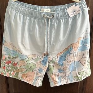Blue and White Swim Trunks with Artistic Design